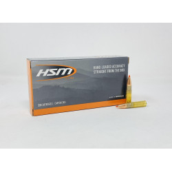 HSM 300 Blackout Ammunition HSM300BLK-2-N 110 Grain V-MAX Ballistic Tip 20 Rounds