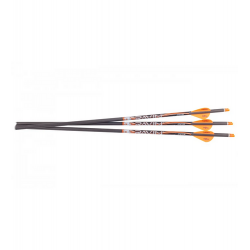 Ravin .003 Match-Grade Lighted Arrows 400gr 3pk
