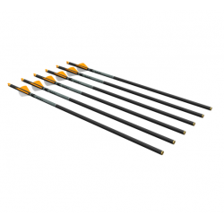 Ravin R500 Carbon Arrows .003 6pk