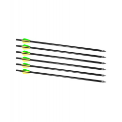 Traditions Firebolt 2216 Arrow 6 Pack - For Crackshot XBR