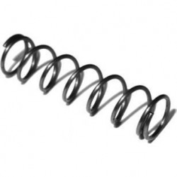 AR Magazine Catch Spring