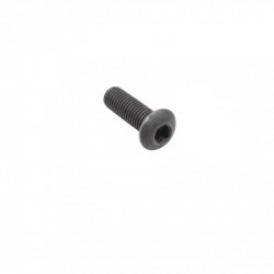 AR Pistol Grip Screw